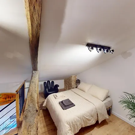公寓 Loft D Exception Hyper-centre Unesco 阿尔比