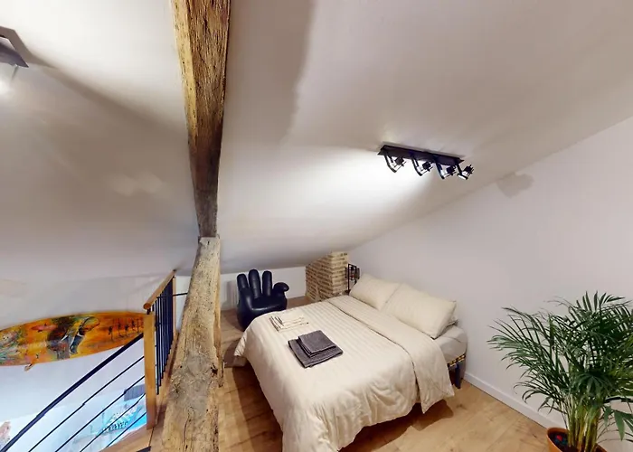 Lägenhet Loft D Exception Hyper-centre Unesco Albi